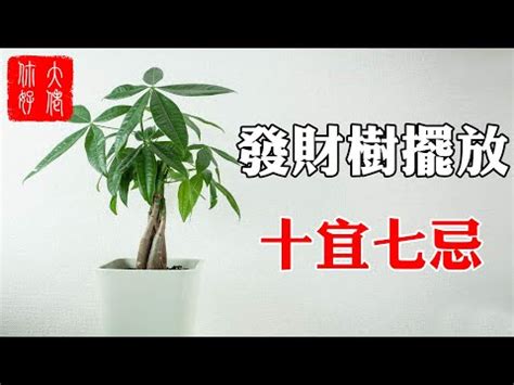 福樹風水 番筧水是什么水